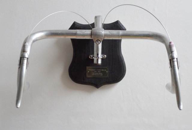 mounted handlebars